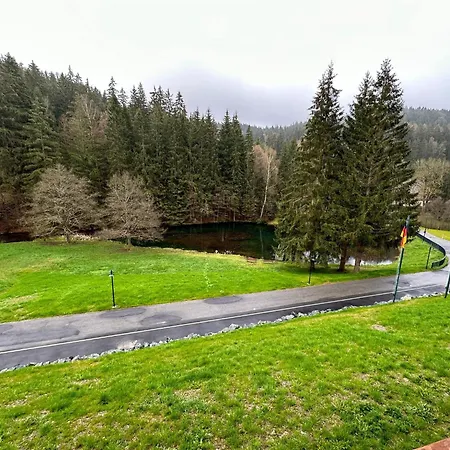 Schwarzbachtal Double Forest Mountain View Erlbach (Saxony)