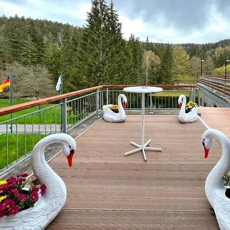 Sunday Schwarzbachtal Double Forest View Erlbach (Saxony)