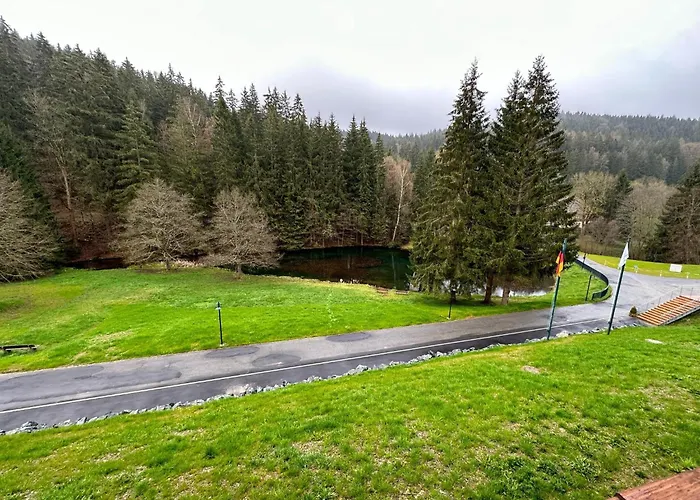 Schwarzbachtal Double Forest Mountain View Erlbach (Saxony)