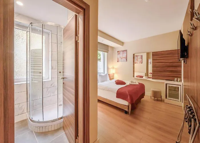 Schwarzbachtal Double Forest Mountain View Erlbach (Saxony)